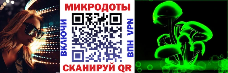 Псилоцибиновые грибы Cubensis  Салаир 